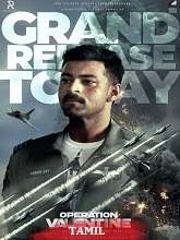 Operation Valentine (2024) DVDScr Hindi