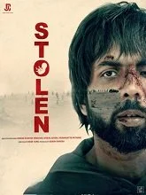 Stolen (2025) HDRip Hindi